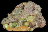Gemmy, Yellow-Green Adamite Crystals - Durango, Mexico #88895-1